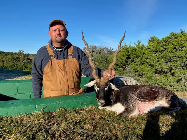 Eric - Blackbuck Antelope