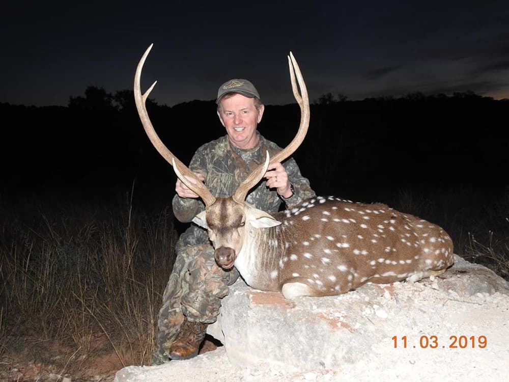 Frank Newmyer - Exotic