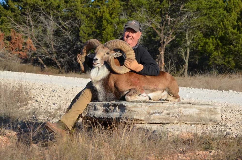 JB Tinney - 39.5" Transcaspian