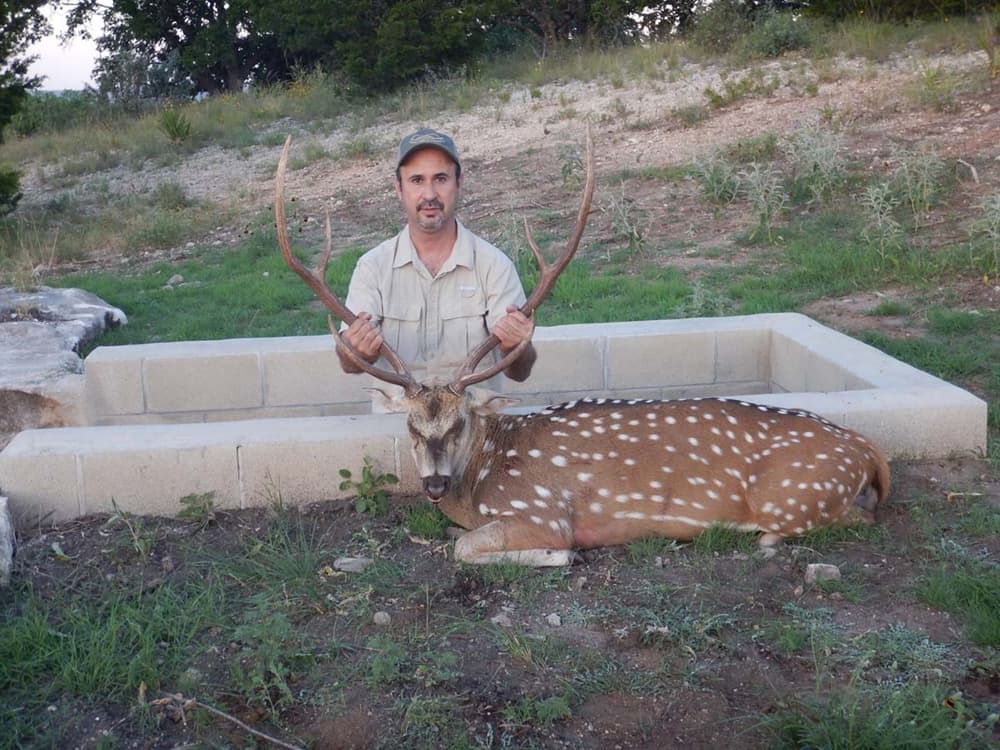 Juan Deleon - Exotic