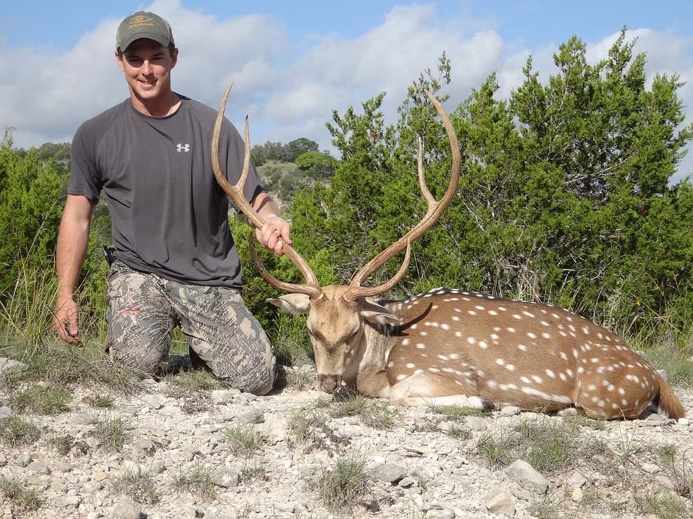 Matt Montgomery - Exotic