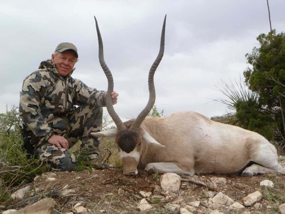 Rick Young Exotic #6