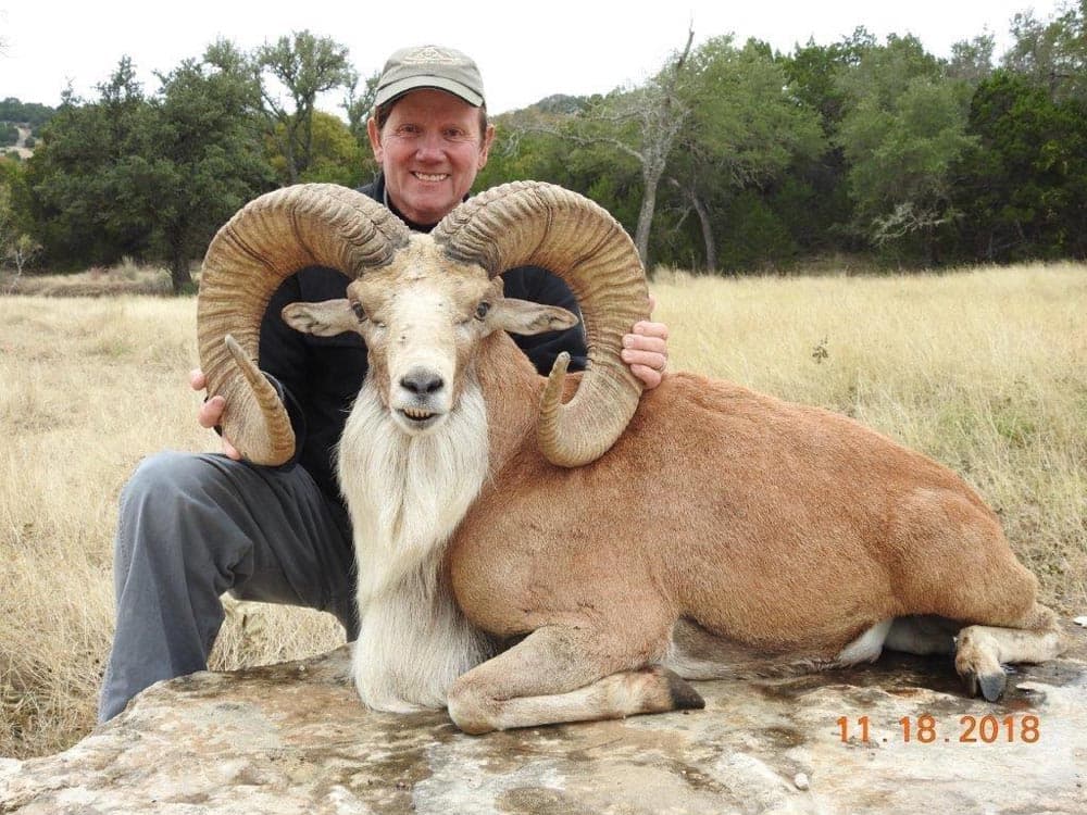 Rocky Cooper - SCI Trophy