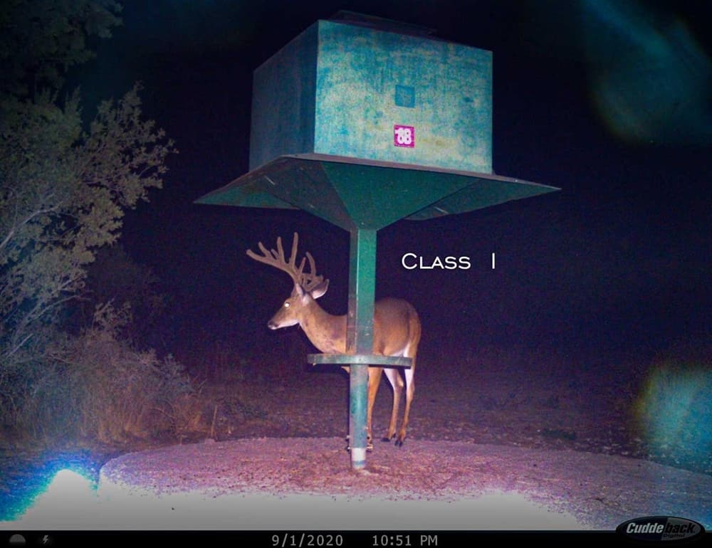Class I Buck Trail Cam