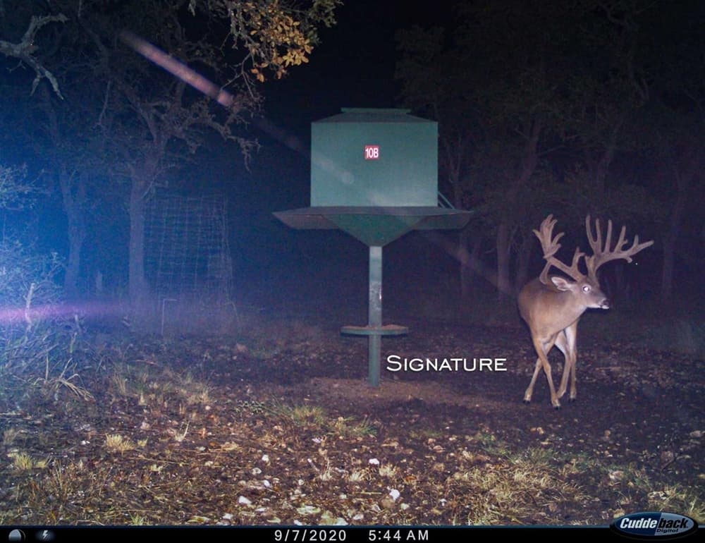 Signature Buck Trail Cam