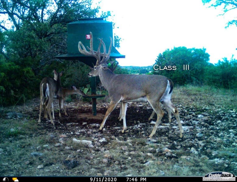 Class III Trail Cam