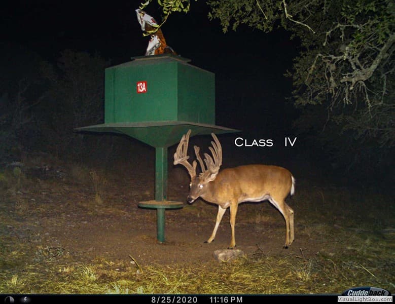 Class IV Trail Cam