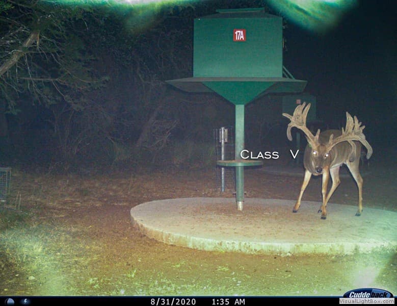 Class V Trail Cam
