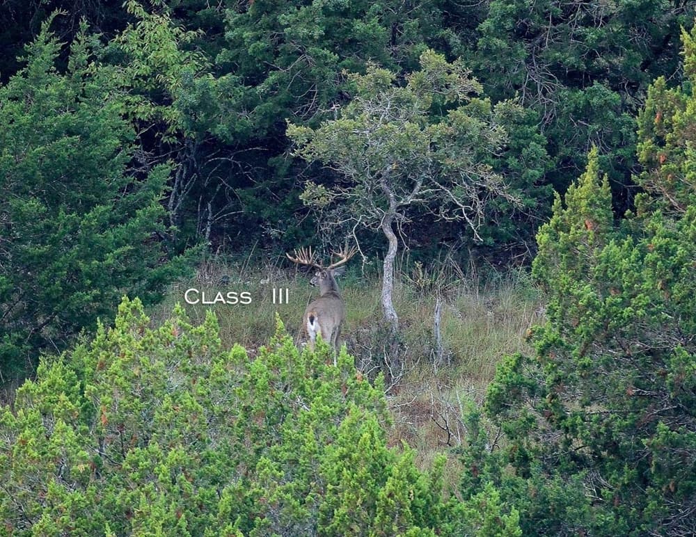 Class III Buck