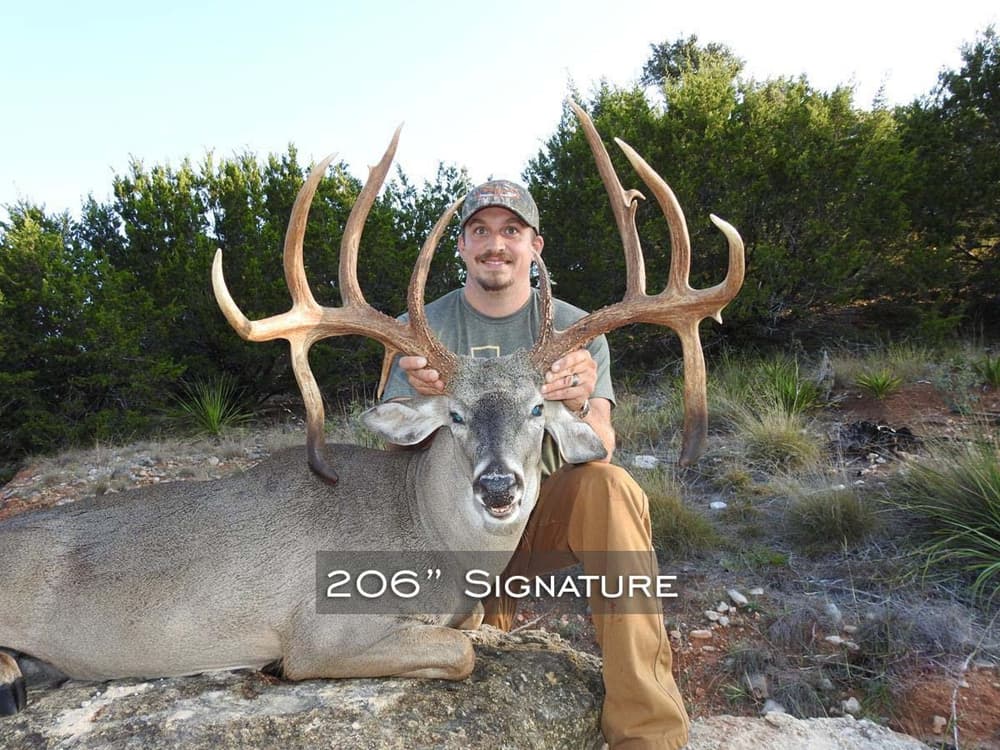 206" Signature Buck