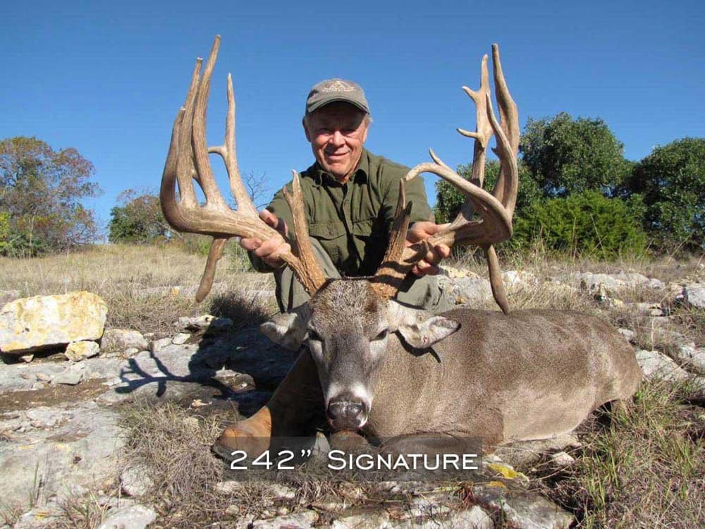 242" Signature Buck