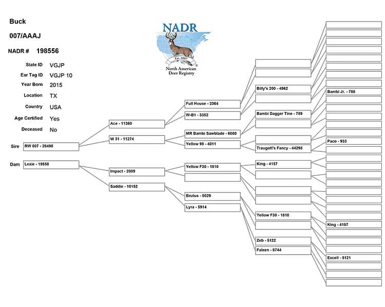 Salarita 007 Pedigree