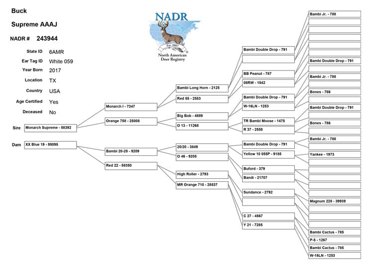 Salarita Supreme Pedigree